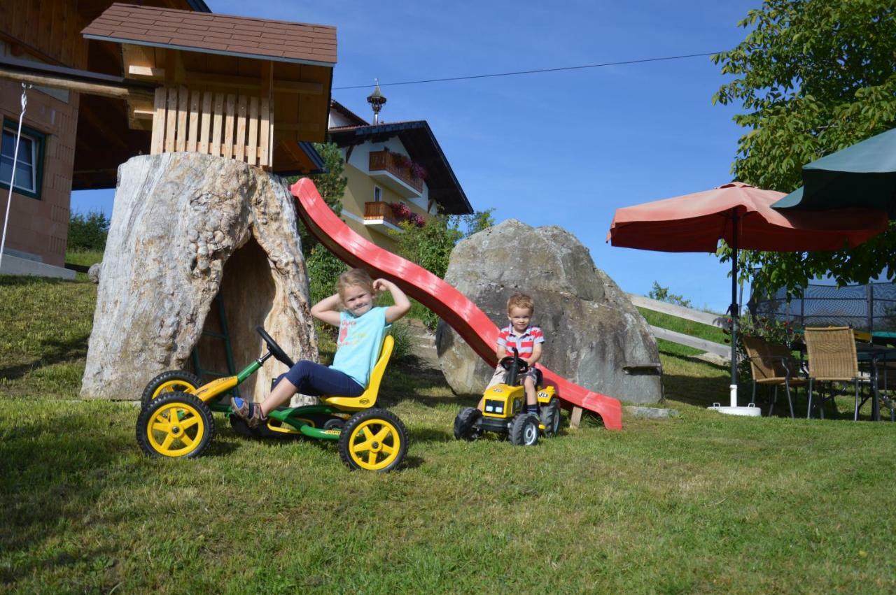Willa Aignerhof Haus im Ennstal Zewnętrze zdjęcie